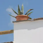 Apartment Magic Land Plaka (Naxos)