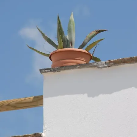 Lägenhet Magic Land Pláka